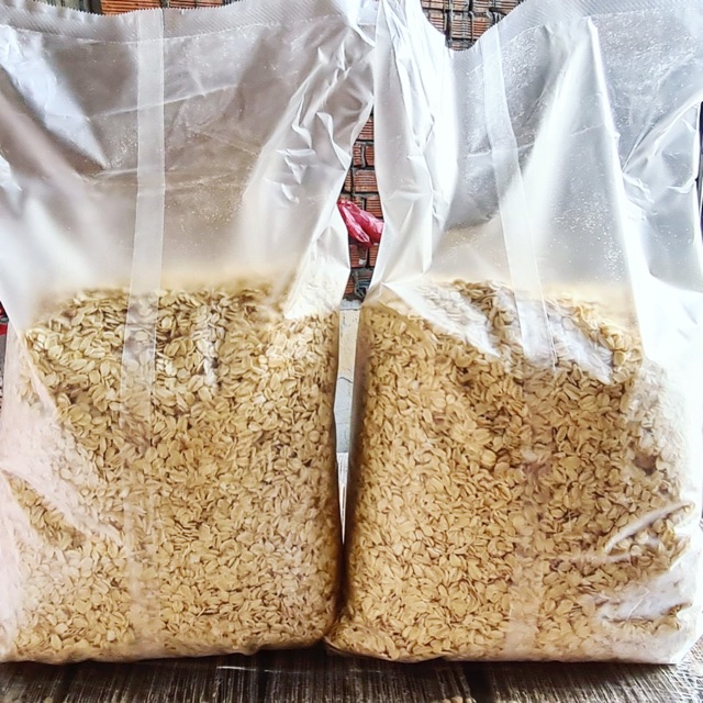 cd2c9f9c6041bdb2b08b7dd64ecdf491