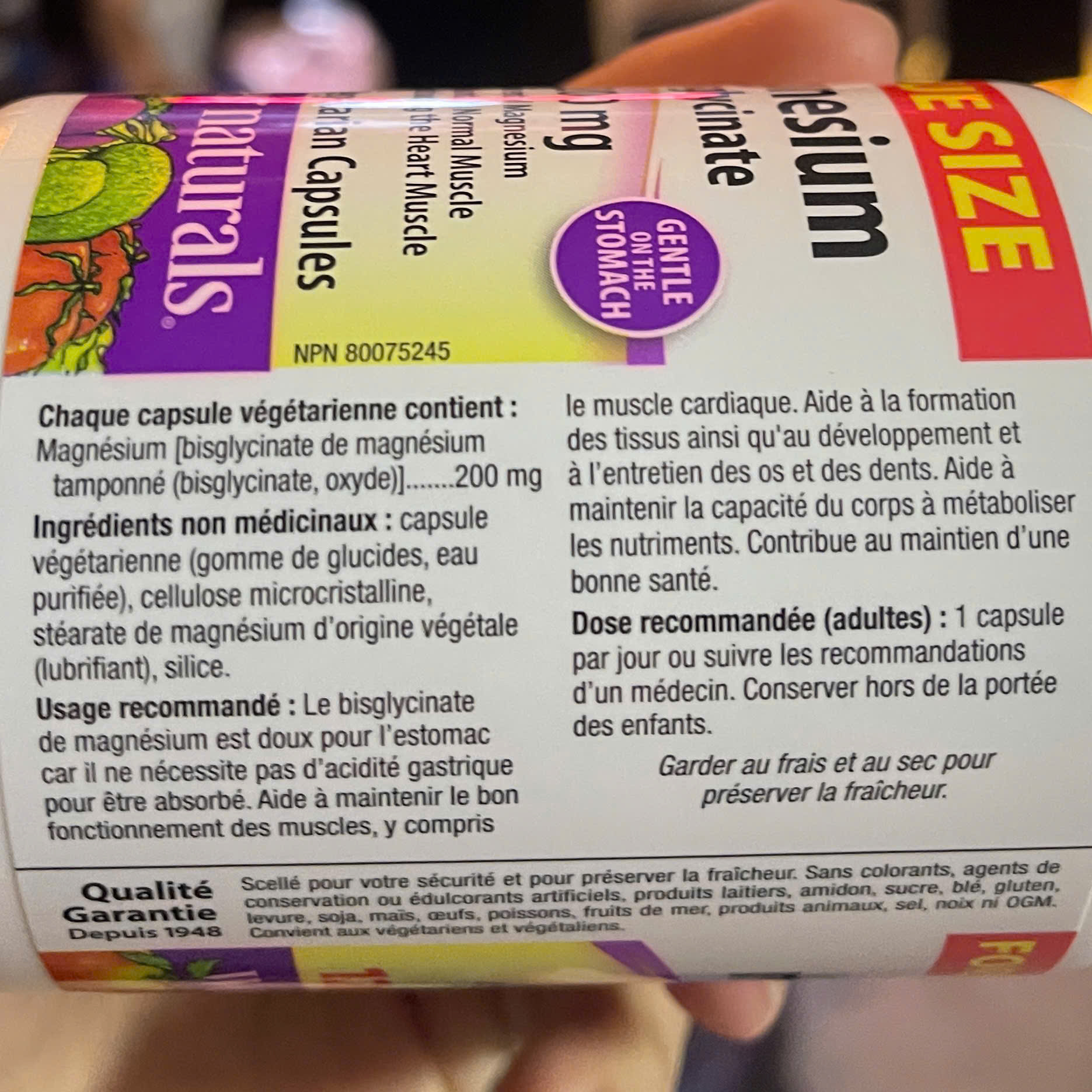 c0e1851a-5128-425c-81b2-108417f2b24c-1735807191256