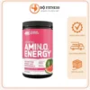 Bột EAA Essential Amino Energy ON (30 lần) phục hồi