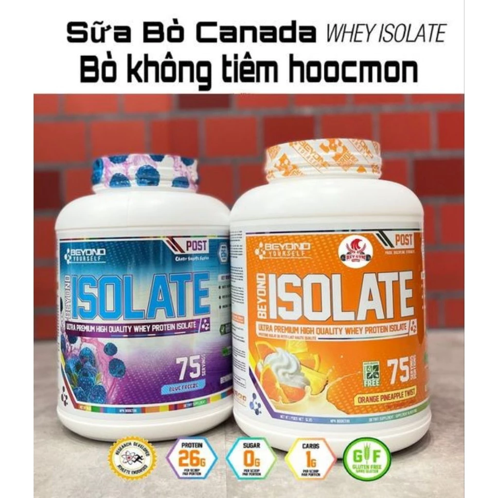 vn-11134207-81ztc-mlk14tiy4lj4c6