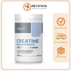 Creatine OstroVit 500g / 300g / Chiết Lẻ 100g chính hãng – Độ Fitness
